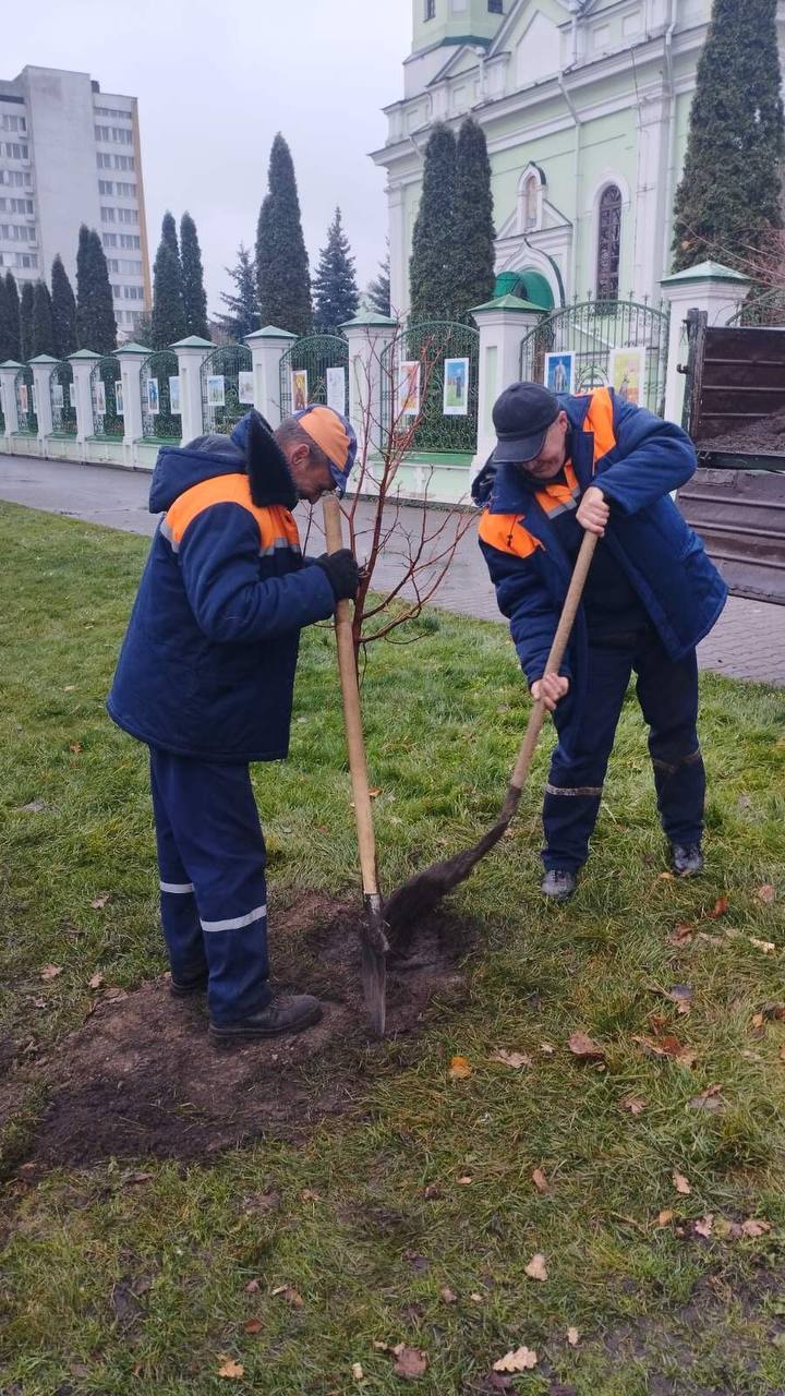 Осеннее озеленение Бреста