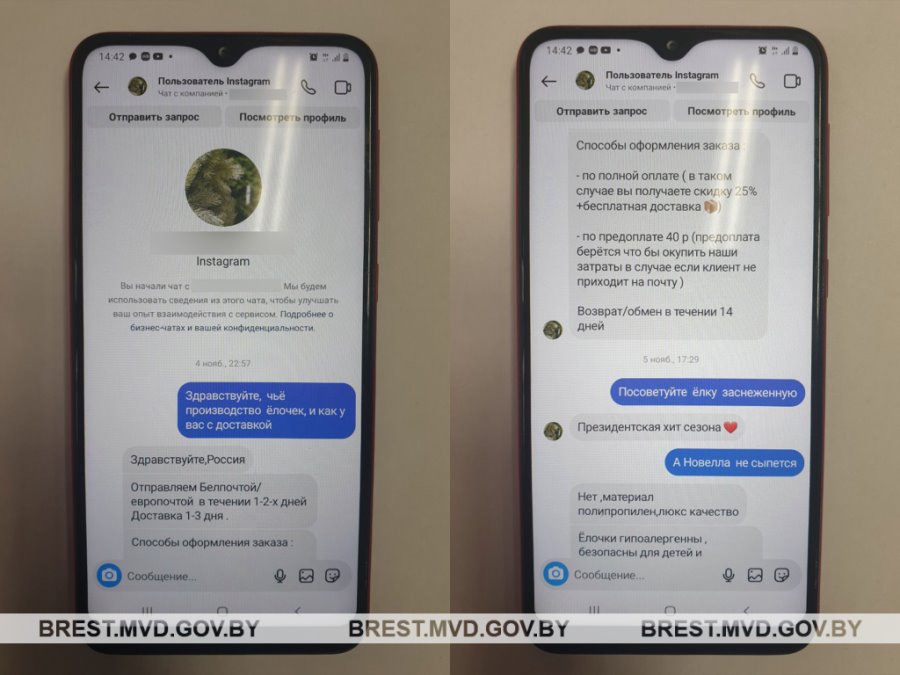 Покупка искусственной ели оказалась мошенничеством. В ловушку «разводил» попалась пинчанка