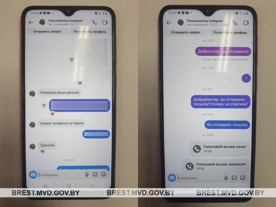 Покупка искусственной ели оказалась мошенничеством. В ловушку «разводил» попалась пинчанка