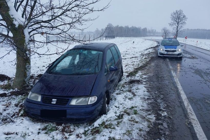В Польше белорус на Seat слетел с дороги и врезался в дерево