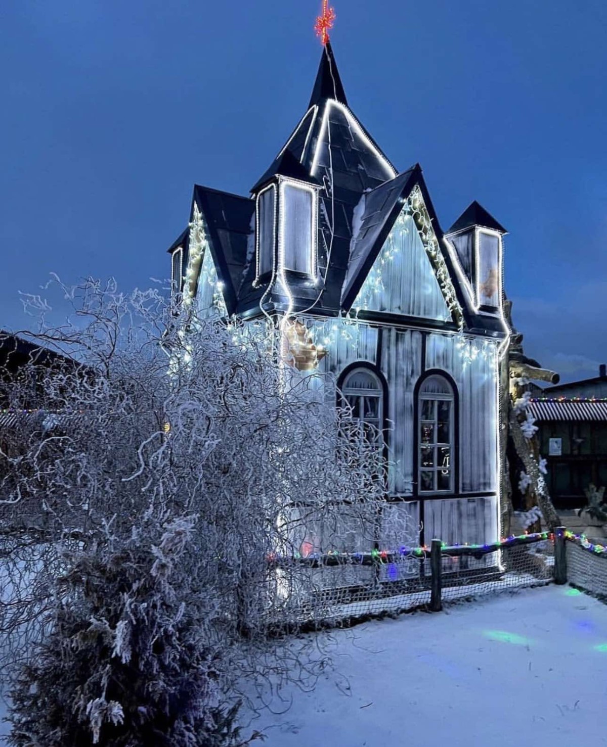 Парк животных приглашает на новогоднюю сказку «По ту сторону зеркала»