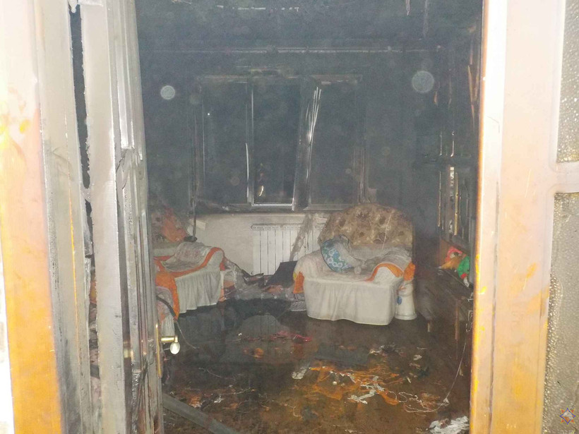 В квартире в Бобруйске погибла женщина и ее 18 котов. Что случилось?