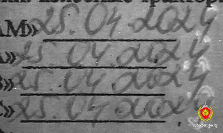 Белорус сам себе «увеличил» срок действия справки на пять лет