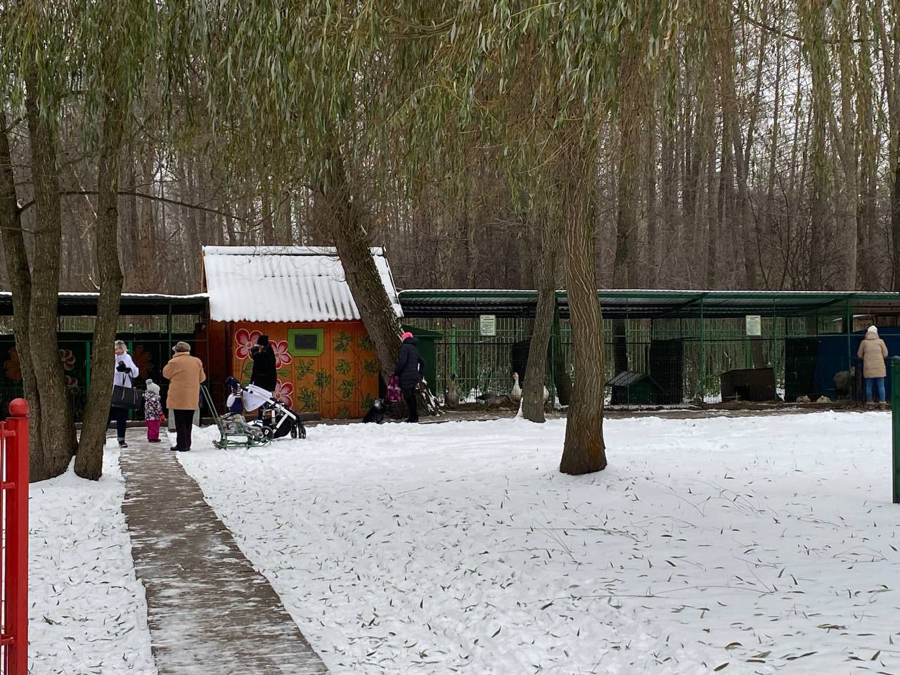 В Бресте у аттракционов в Парке воинов-интернационалистов находится небольшой зооуголок. Как проходит зимовка?
