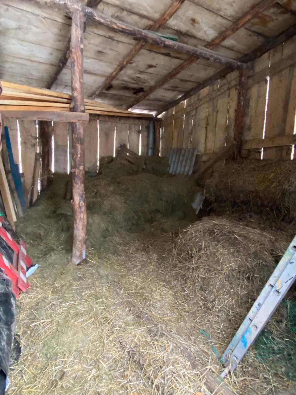 В Бресте у аттракционов в Парке воинов-интернационалистов находится небольшой зооуголок. Как проходит зимовка?