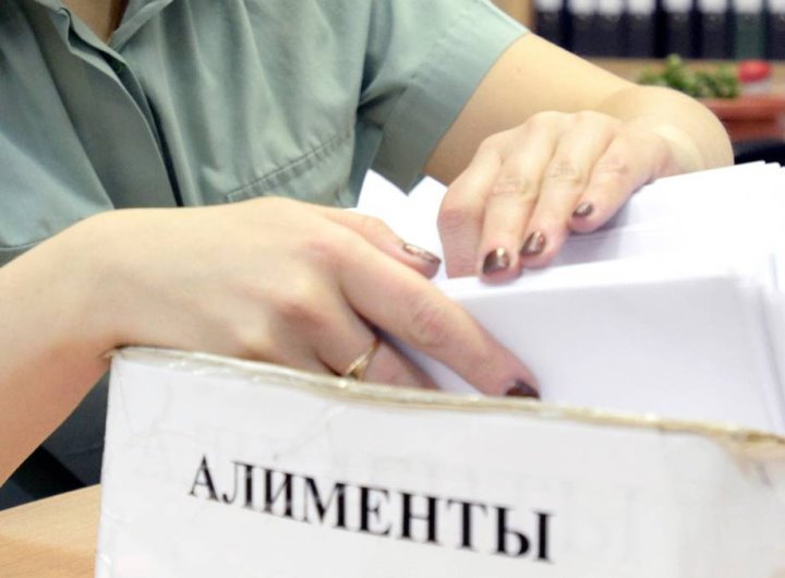 В Гомеле мать двоих детей хочет взыскать алименты с бывшей свекрови. А так можно?