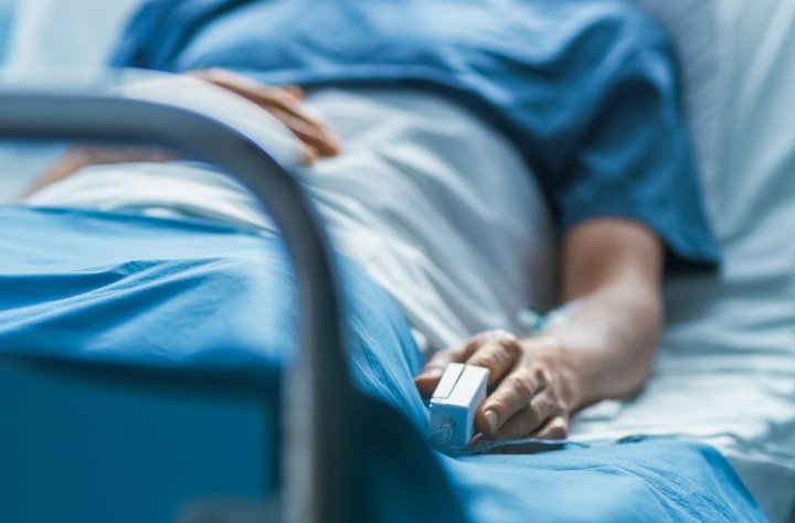 Мама и двое детей отравились съедобными лисичками — в чем причина