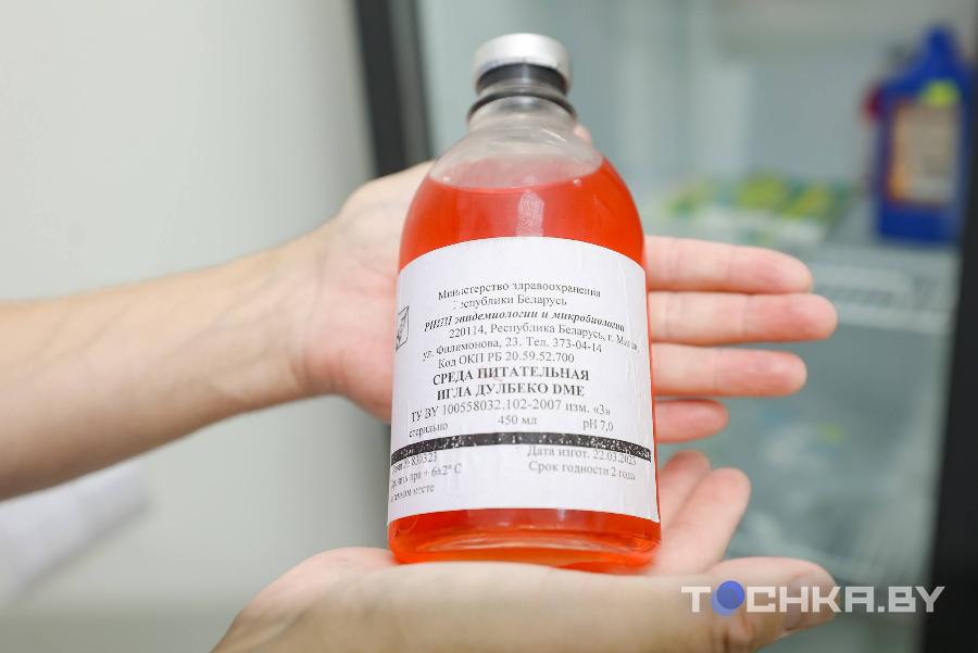 Как белорусы пересаживают волосы