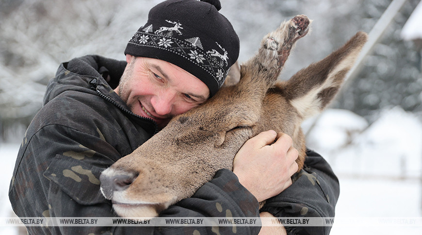«Он спит у телевизора и обожает овсяное печенье». История об удивительной дружбе Олега и его оленя