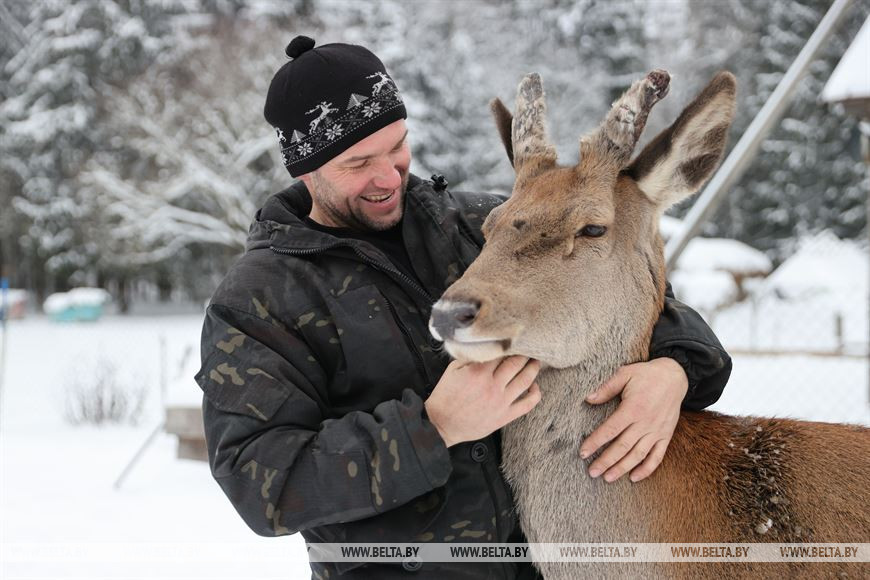 «Он спит у телевизора и обожает овсяное печенье». История об удивительной дружбе Олега и его оленя