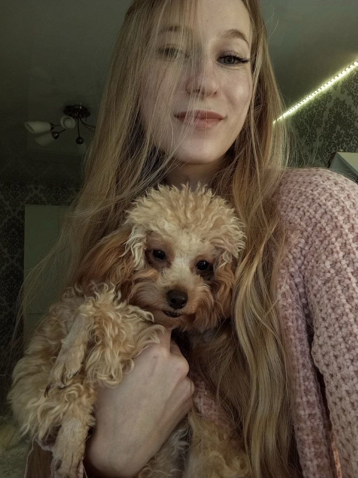 Обзор нового Redmi 13C. Народный хит или “проходим мимо”?