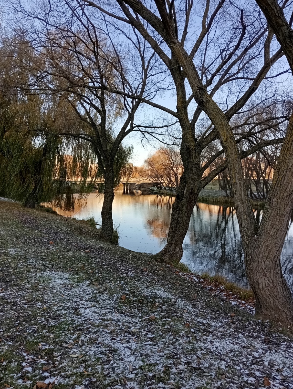 Обзор нового Redmi 13C. Народный хит или “проходим мимо”?