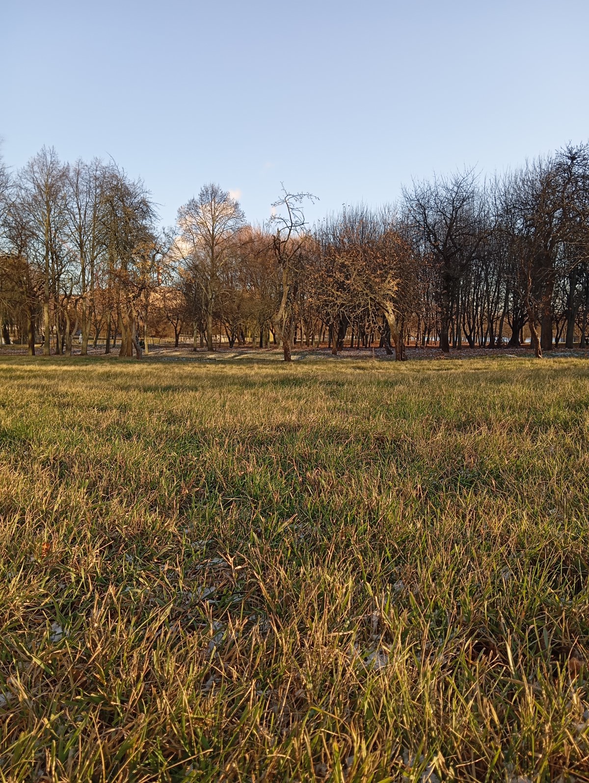 Обзор нового Redmi 13C. Народный хит или “проходим мимо”?