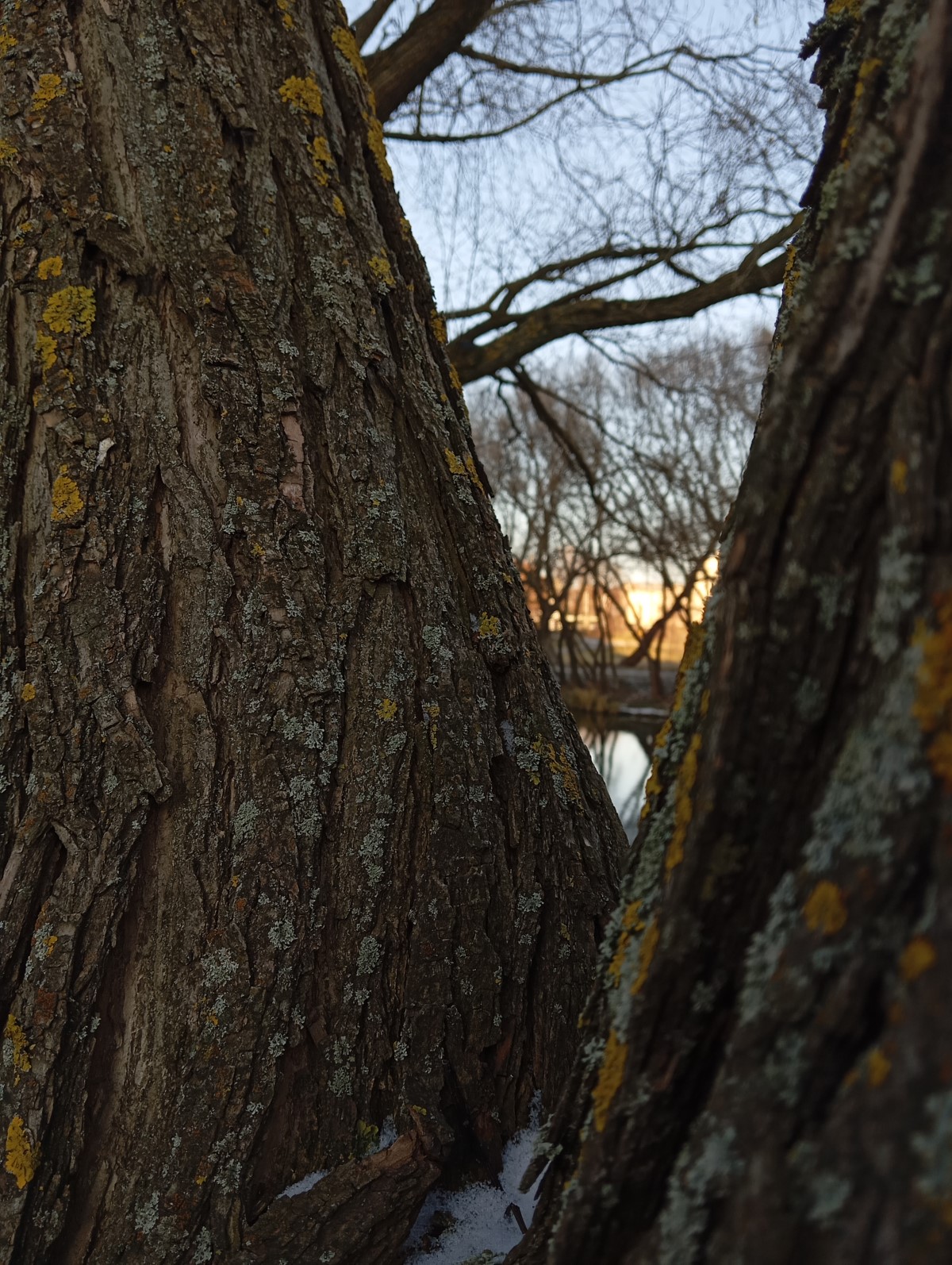 Обзор нового Redmi 13C. Народный хит или “проходим мимо”?