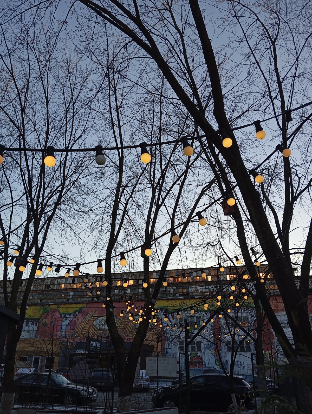 Обзор нового Redmi 13C. Народный хит или “проходим мимо”?