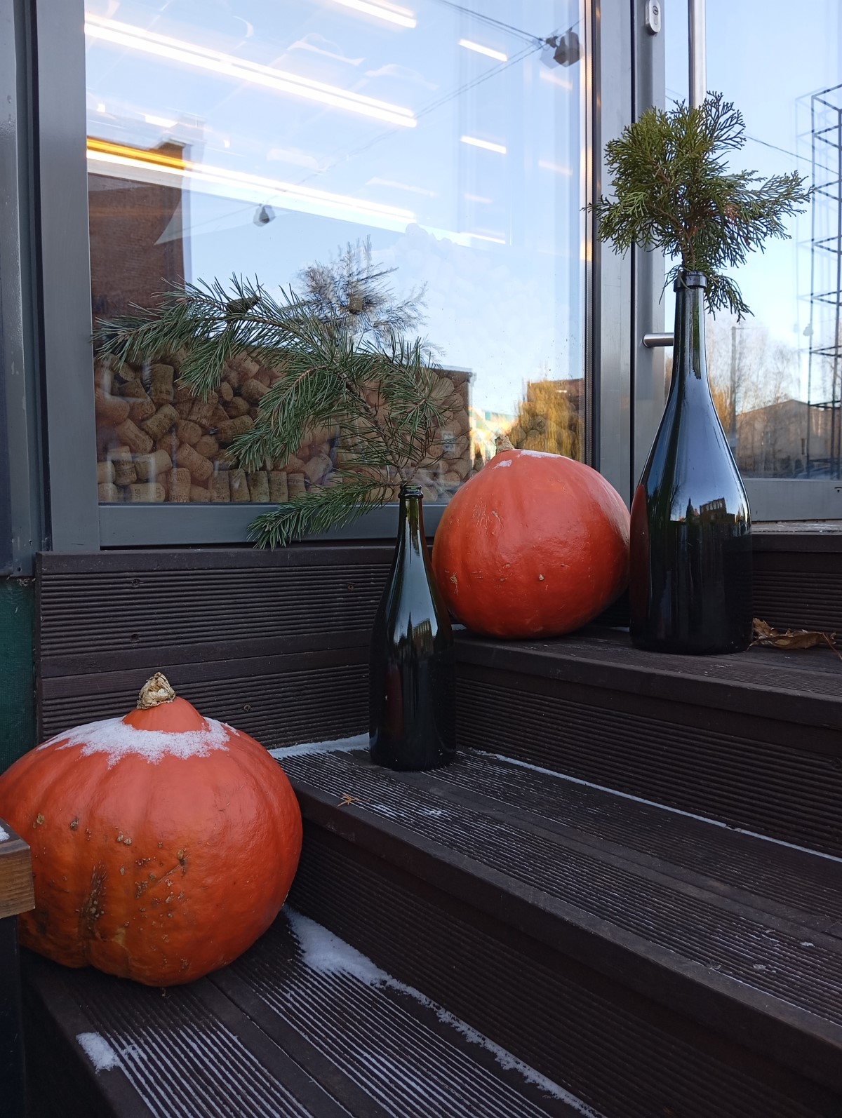 Обзор нового Redmi 13C. Народный хит или “проходим мимо”?