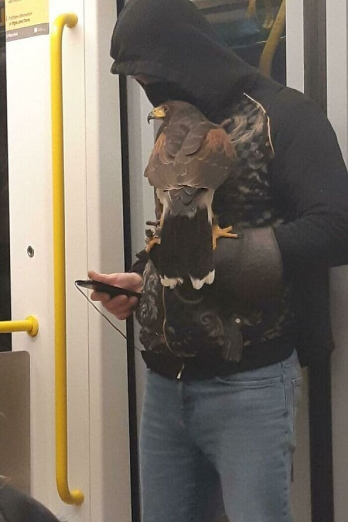 На фото показали ситуации в общественном транспорте, вводящие в ступор