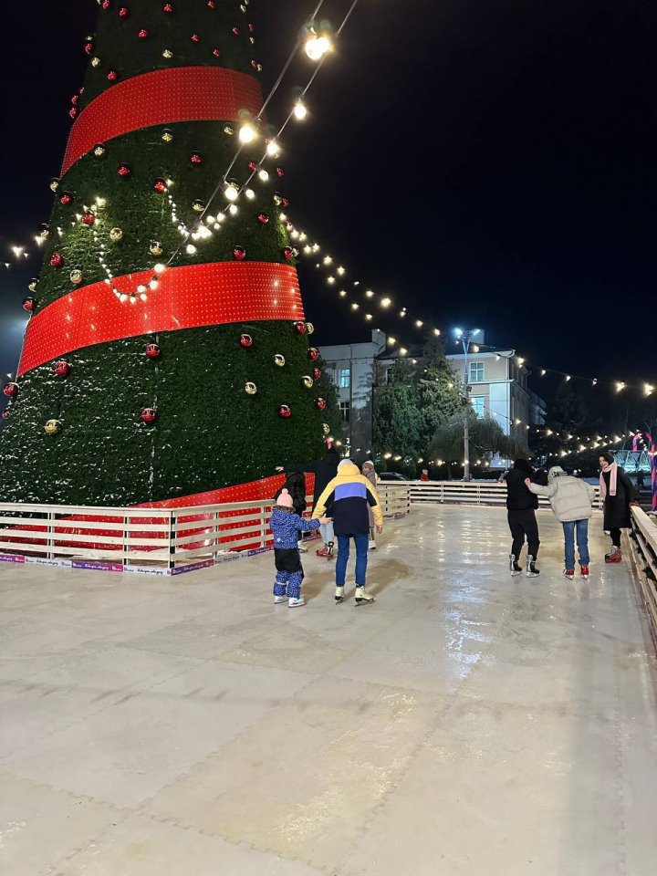 Где будут установлены новогодние елки в Бресте? Список мест