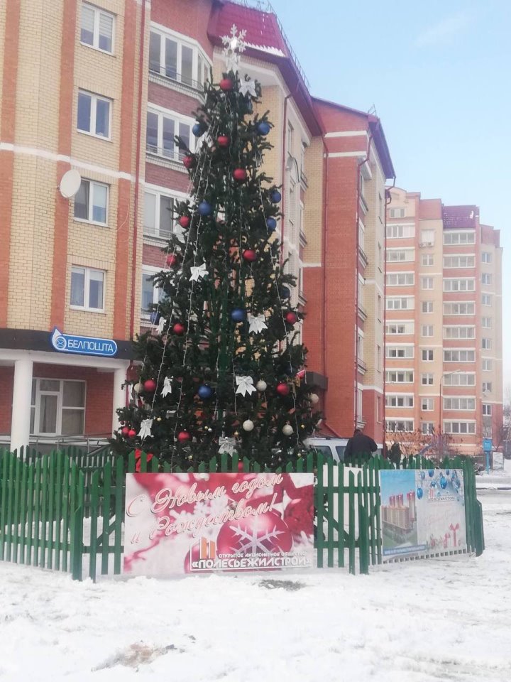 Где будут установлены новогодние елки в Бресте? Список мест