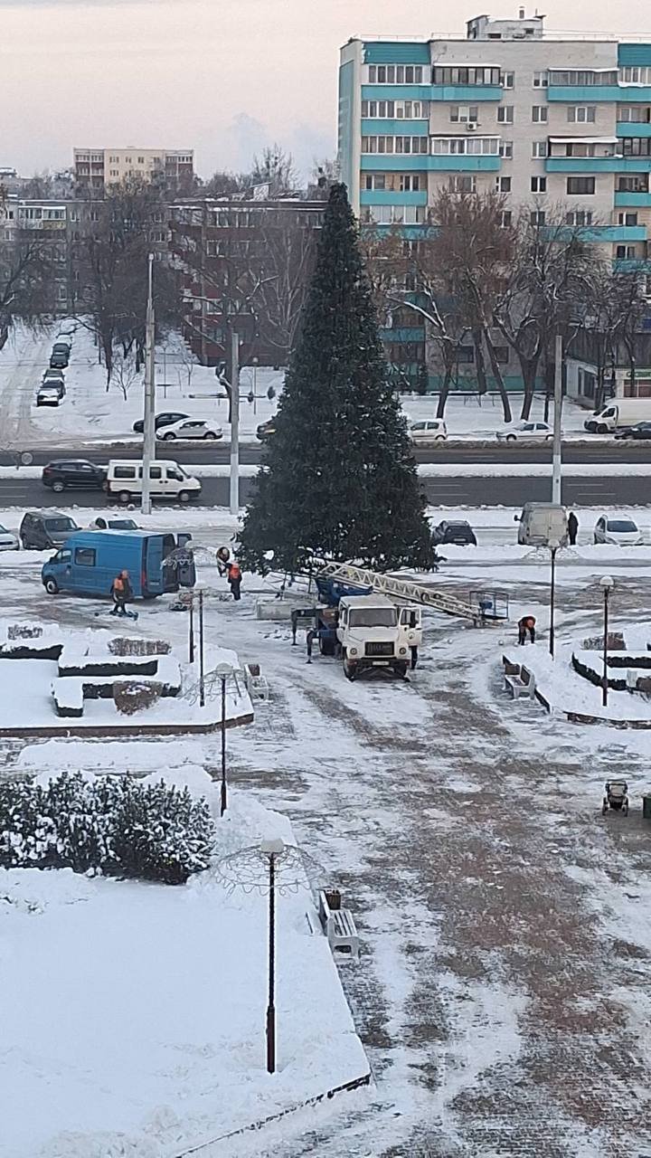 Где будут установлены новогодние елки в Бресте? Список мест