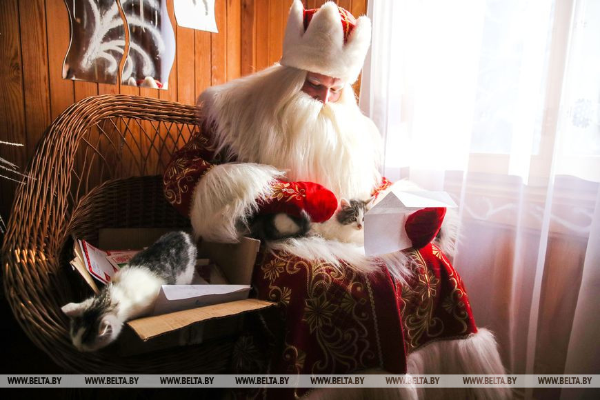 О буднях белорусского Деда Мороза. Репортаж из Беловежской пущи