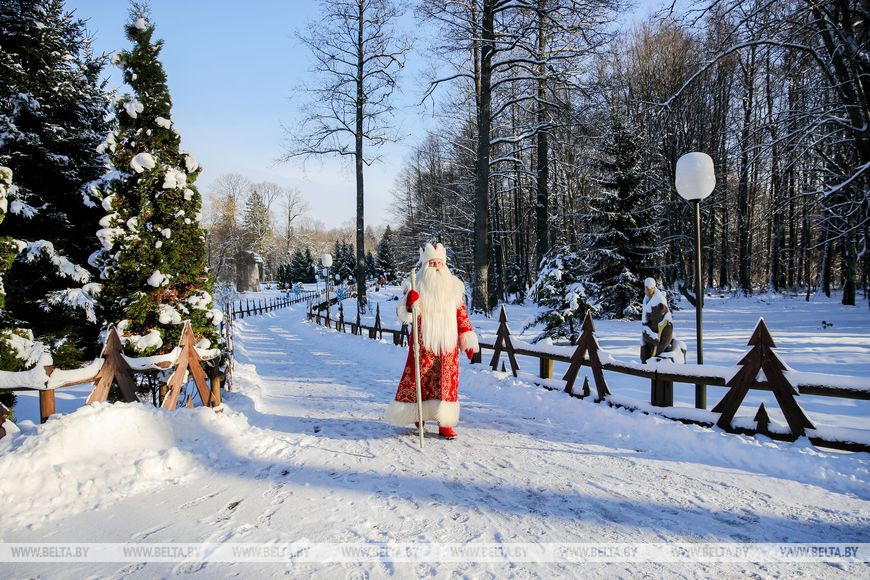 О буднях белорусского Деда Мороза. Репортаж из Беловежской пущи