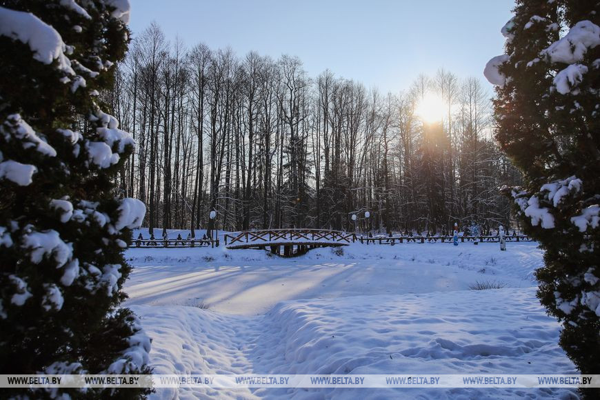 О буднях белорусского Деда Мороза. Репортаж из Беловежской пущи