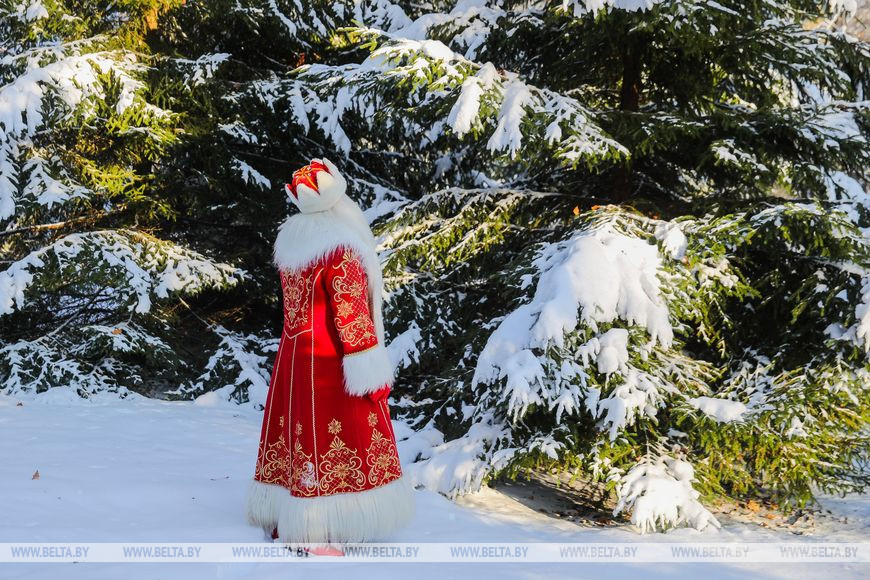 О буднях белорусского Деда Мороза. Репортаж из Беловежской пущи