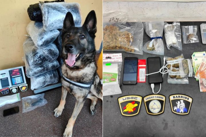 В Испании из-за марихуаны и гашиша задержали белоруса