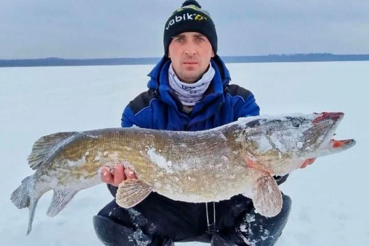 В Борисовском районе выловили огромную щуку – взгляните на нее