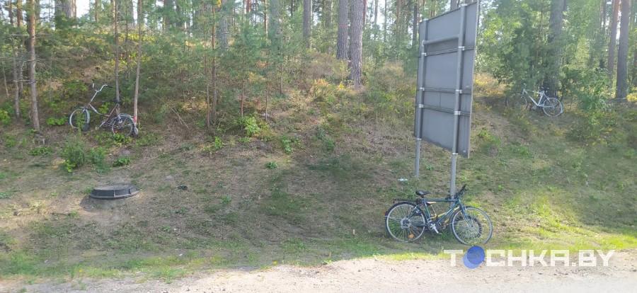 Белорус рассказал о поездке на автобусе за границу после закрытая двух литовских пунктов пропуска