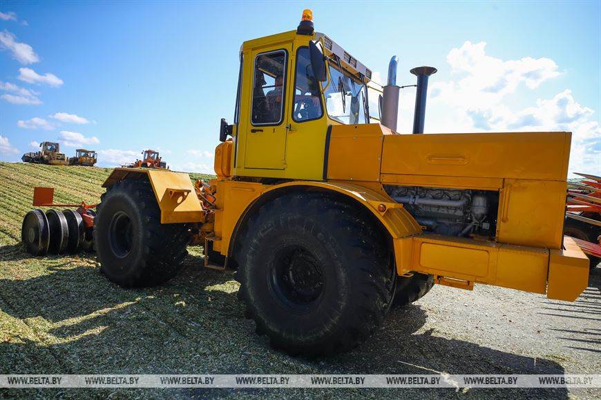 В Малоритском районе довольны урожаем кукурузы