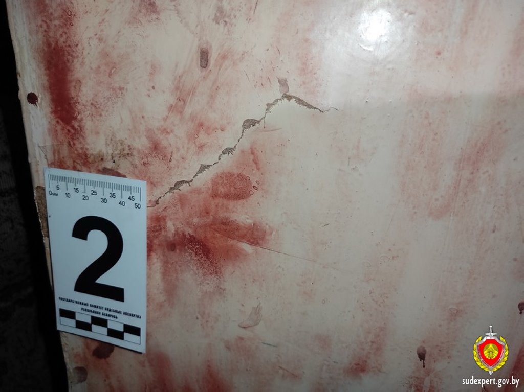 В Беларуси парень разгромил дом своей возлюбленной. Из-за чего?