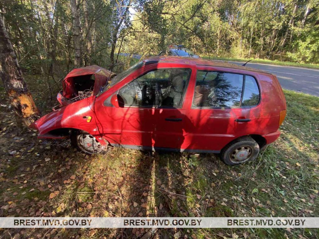 Водитель уснул и врезался в дерево под Барановичами