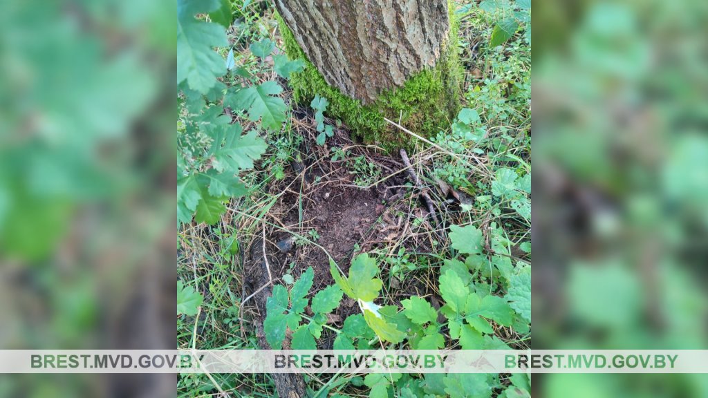 В Бресте задержан очередной закладчик