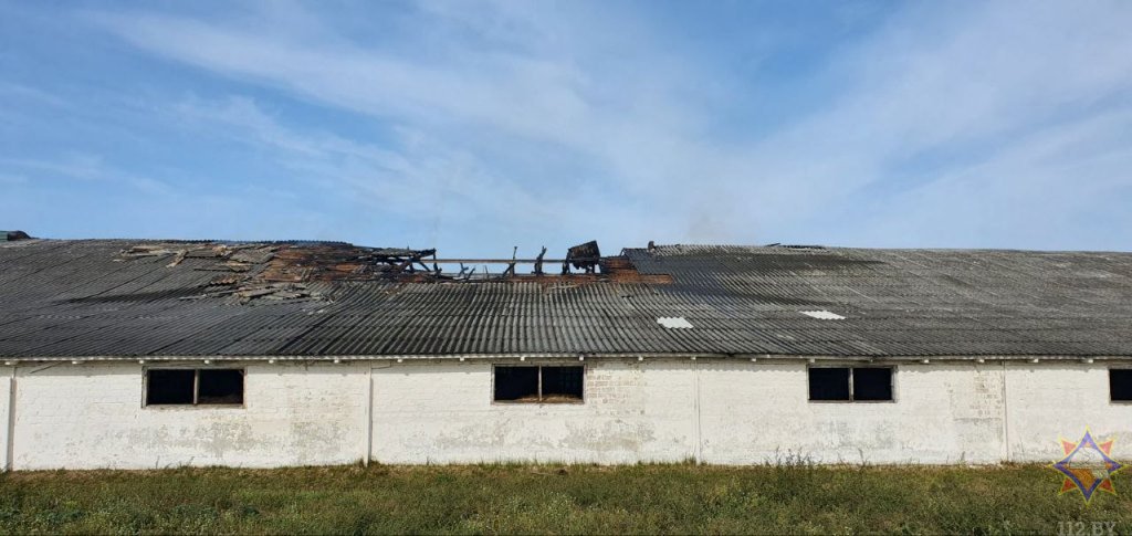 В Ганцевичском районе при пожаре на ферме эвакуировали 200 телят