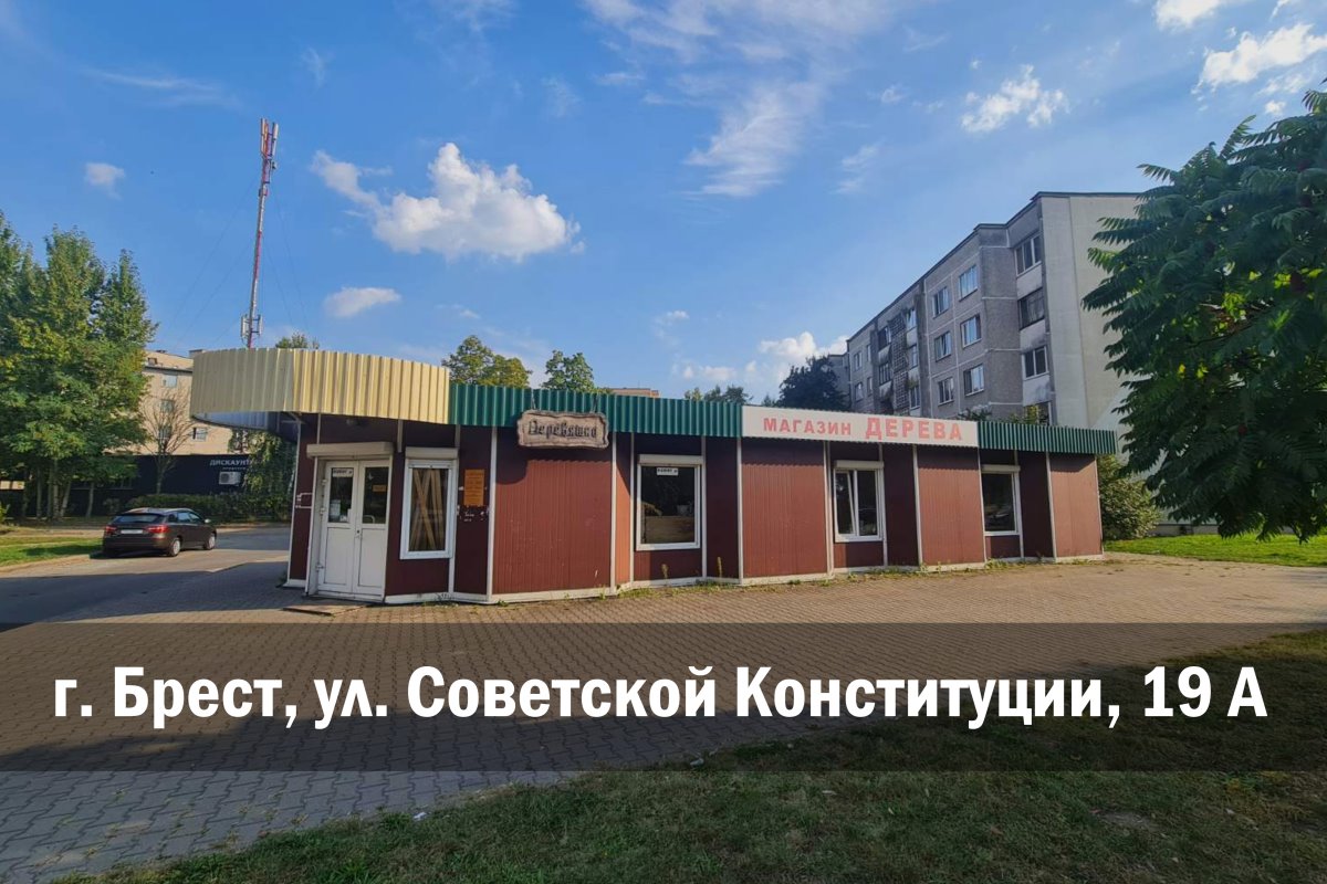 Купить мебельный щит из натурального дерева в Бресте, в магазине «Деревяшка». Сосна, ясень, дуб, береза, ольха