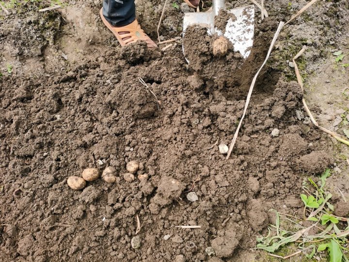 Фото из открытых источников (иллюстративное)