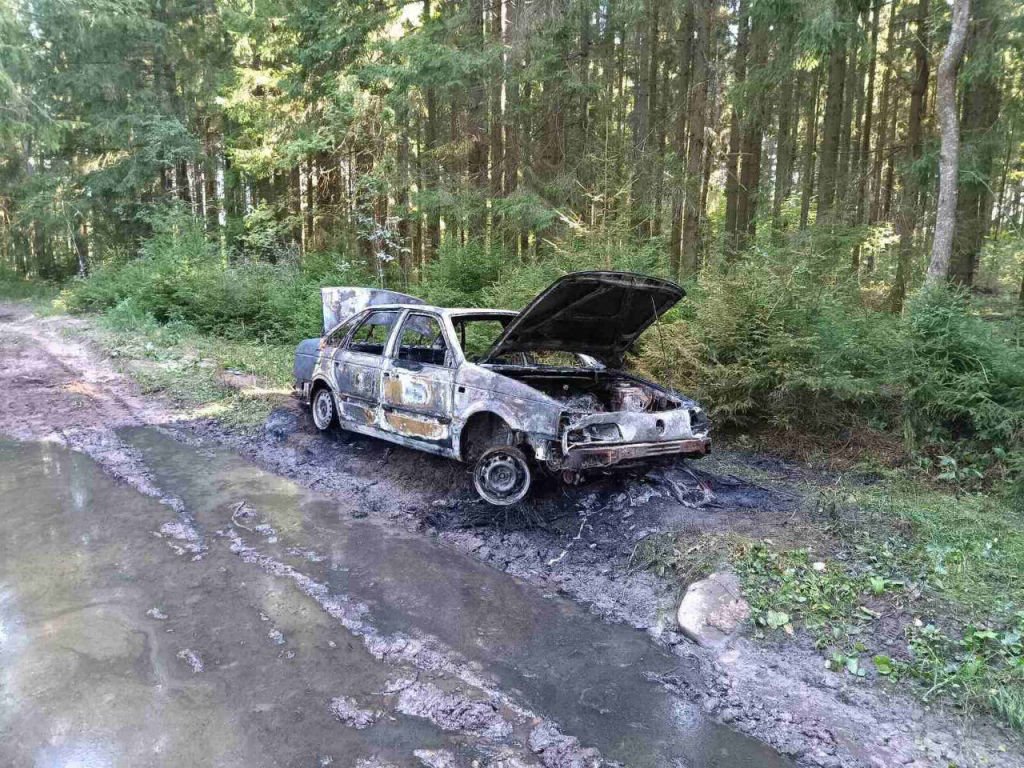 Угнанный Passat нашли сгоревшим в лесу в Витебской области.