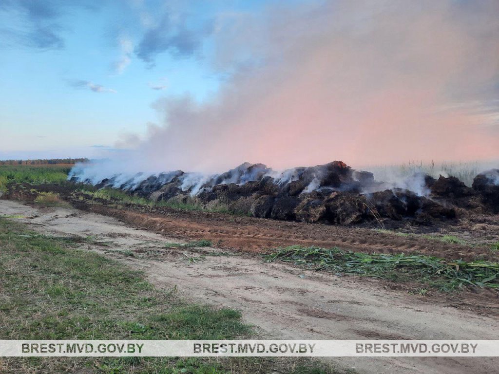 В Барановичском районе поджигатель пойман с поличным
