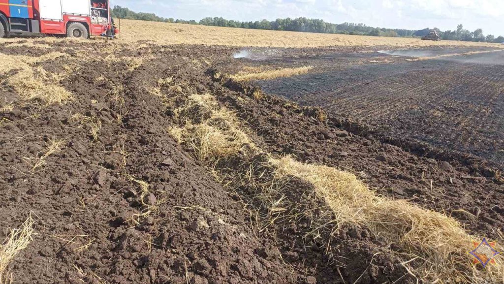 В Кобринском районе огонь уничтожил 3 гектара зерновых