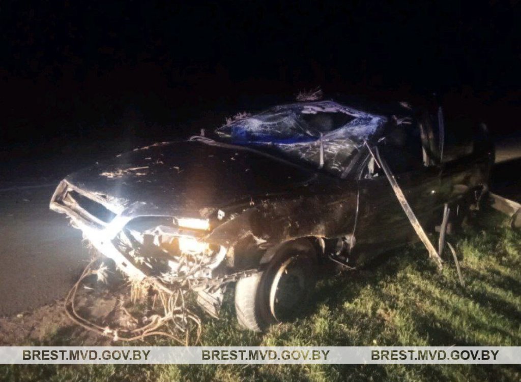 В Пружанском районе Opel съехал в кювет, пытаясь избежать наезда на животное