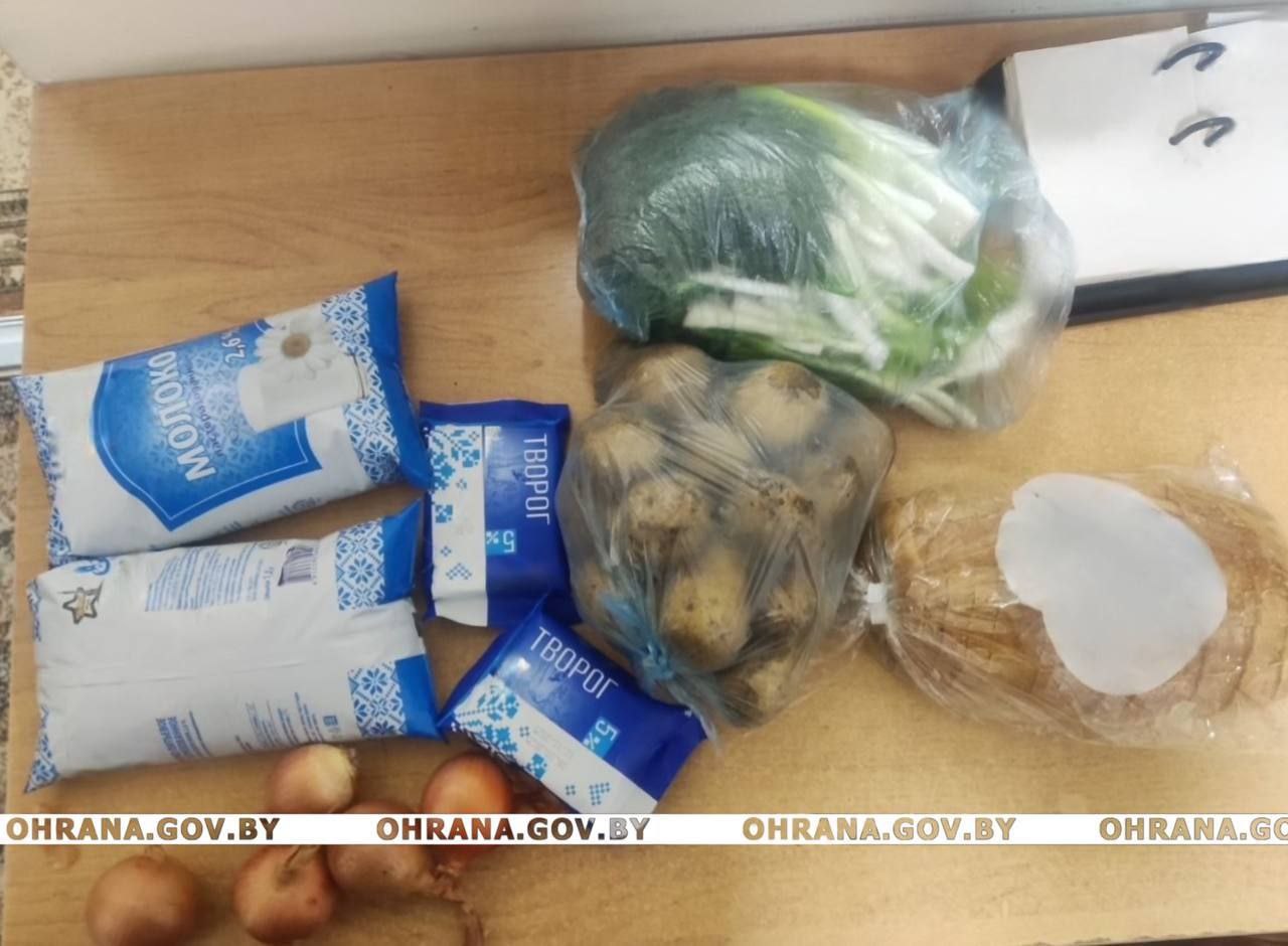 Что пытались вынести из пищеблока детской больницы в Бресте