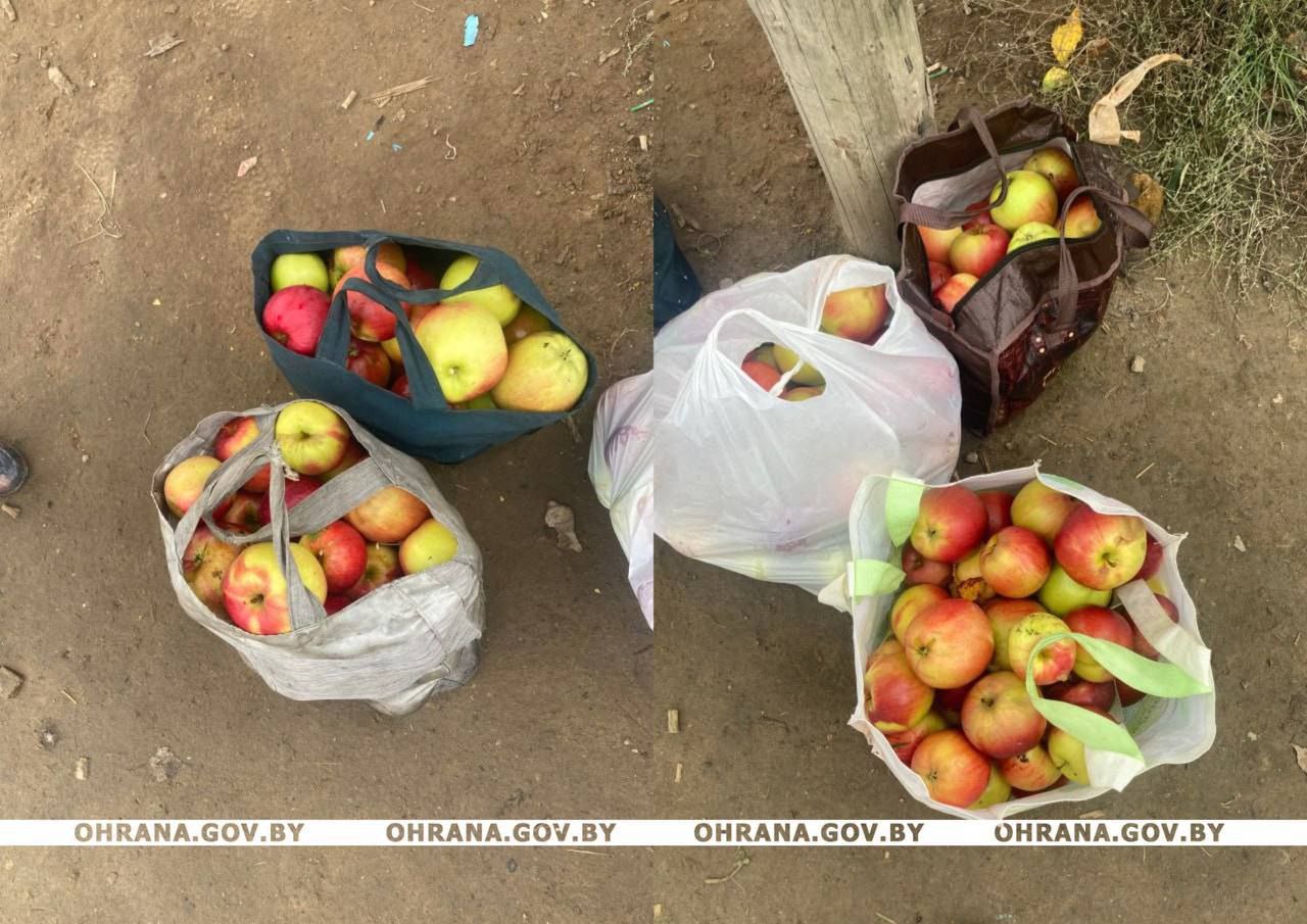 Что пытались вынести из пищеблока детской больницы в Бресте