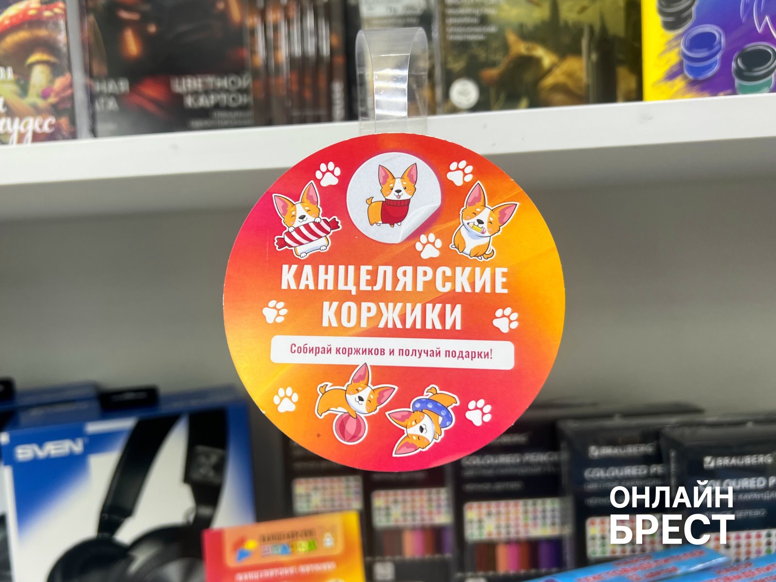 Традиция выбора: почему брестчане из года в год собирают детей в школу с «Канцелярскими Штучками»?