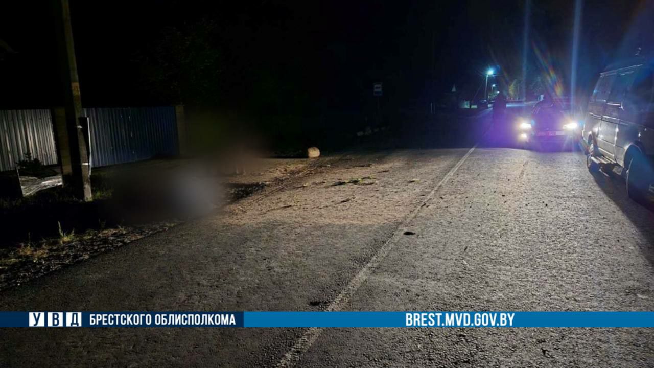 В Пинском районе мотоциклист-бесправник врезался в столб и погиб