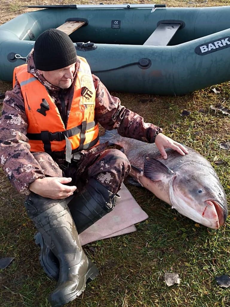 Белорусский рыбак выловил толстолобика весом под 40 кило