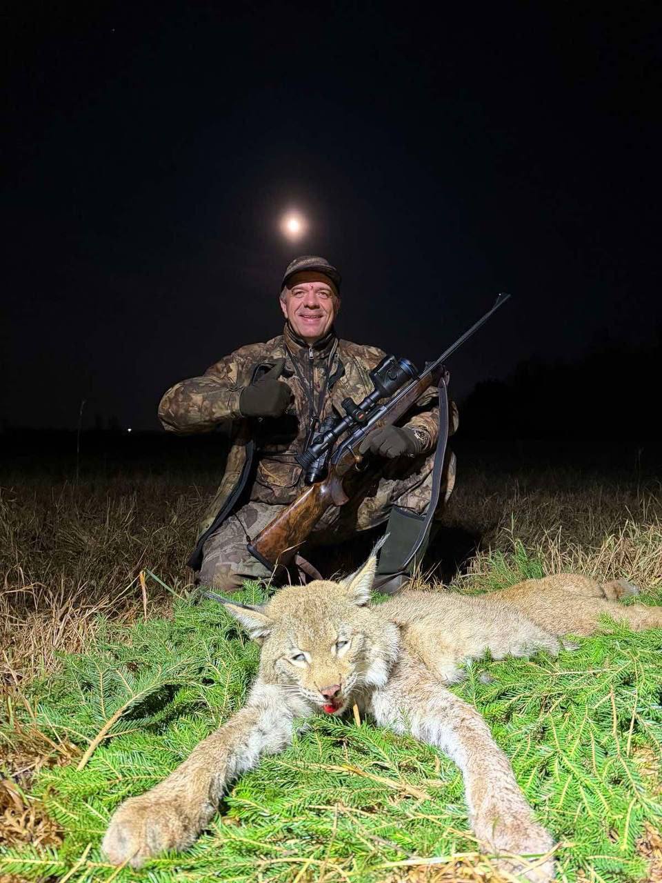 В Беларуси впервые за 40 лет добыли рысь — фото