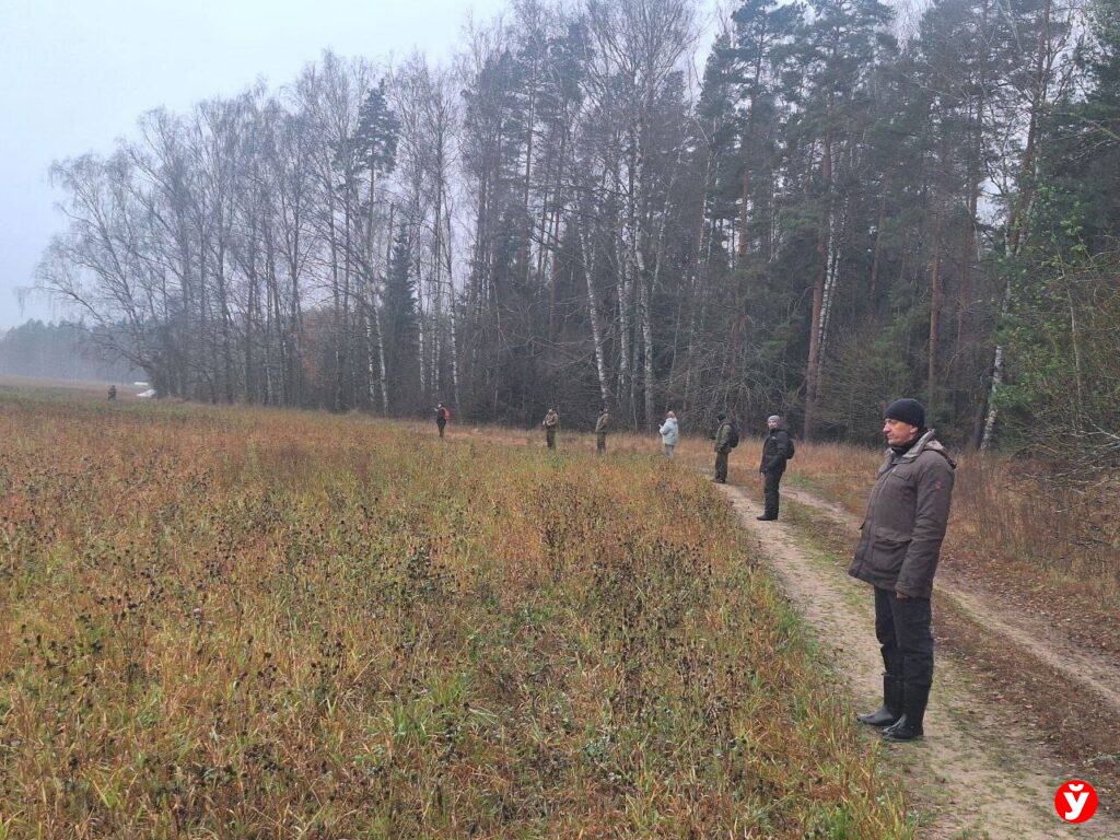 В Беларуси сутки ищут ребенка — на поиски вышло более 300 человек