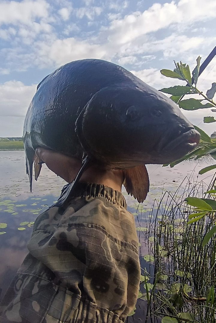 «Раз в жизни такое бывает!» Белорус поймал два десятка большущих линей